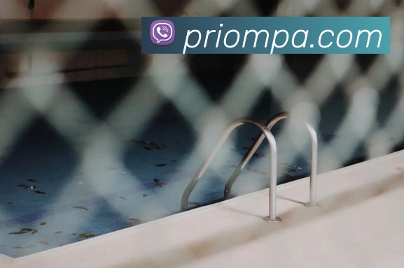 pa视讯服务体系